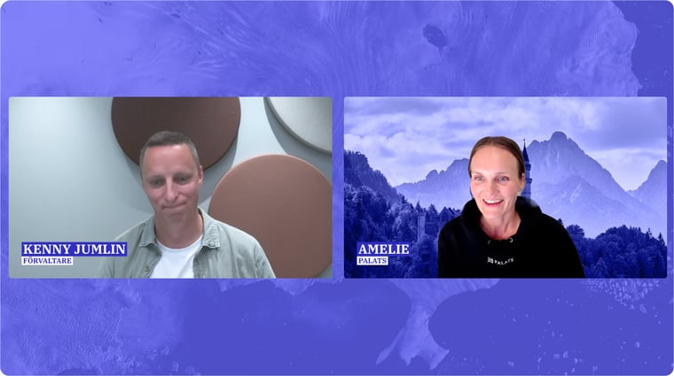 Palats_webinar_storbolag